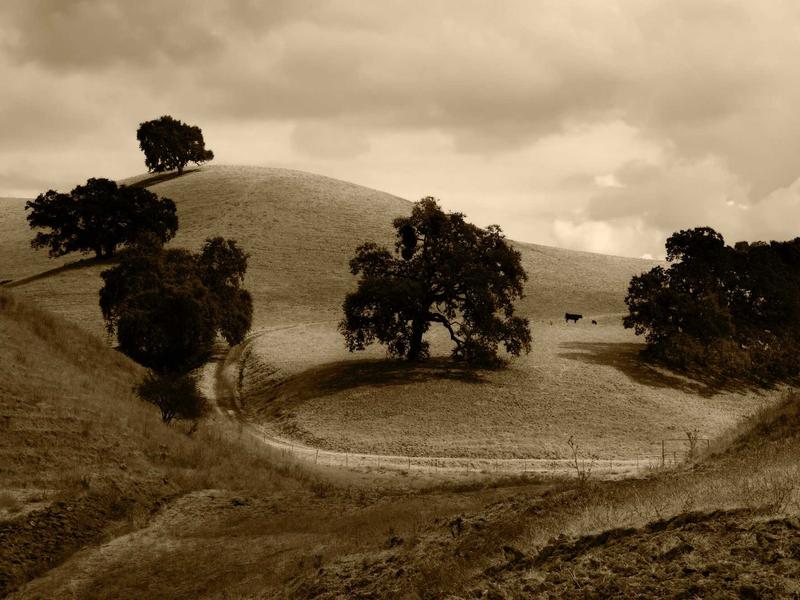 sudoku seasonal puzzle screenshot 2