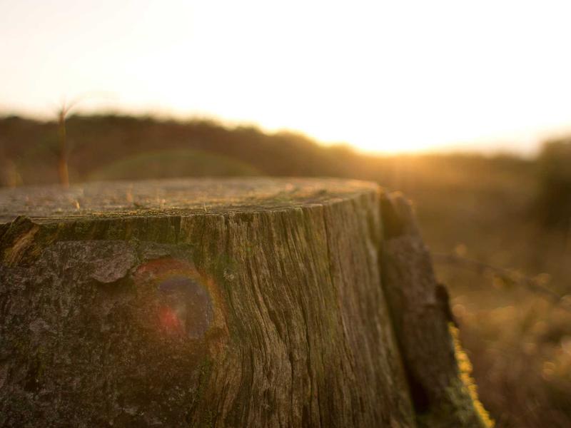 sudoku seasonal puzzle screenshot 1